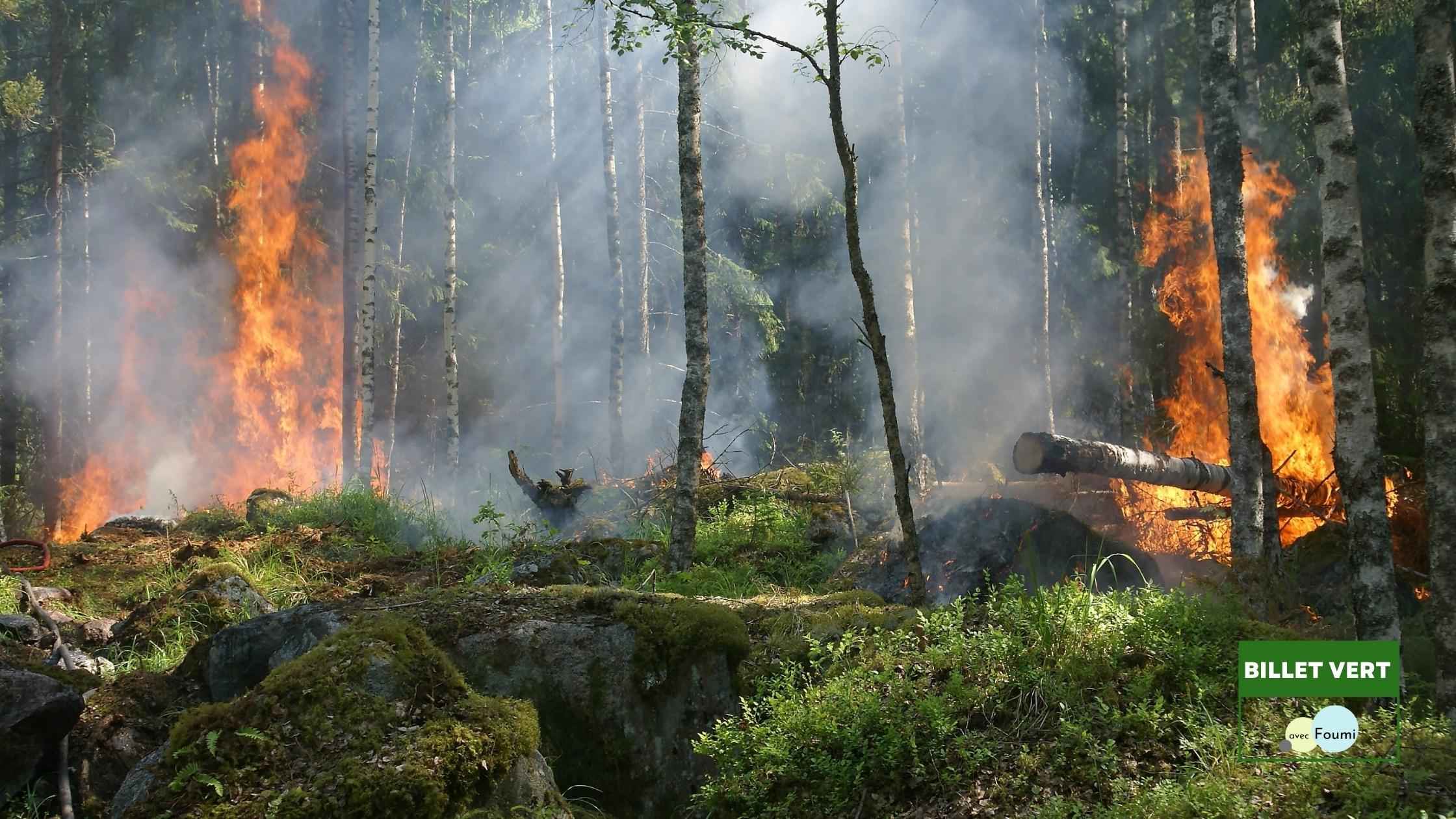Image à la une